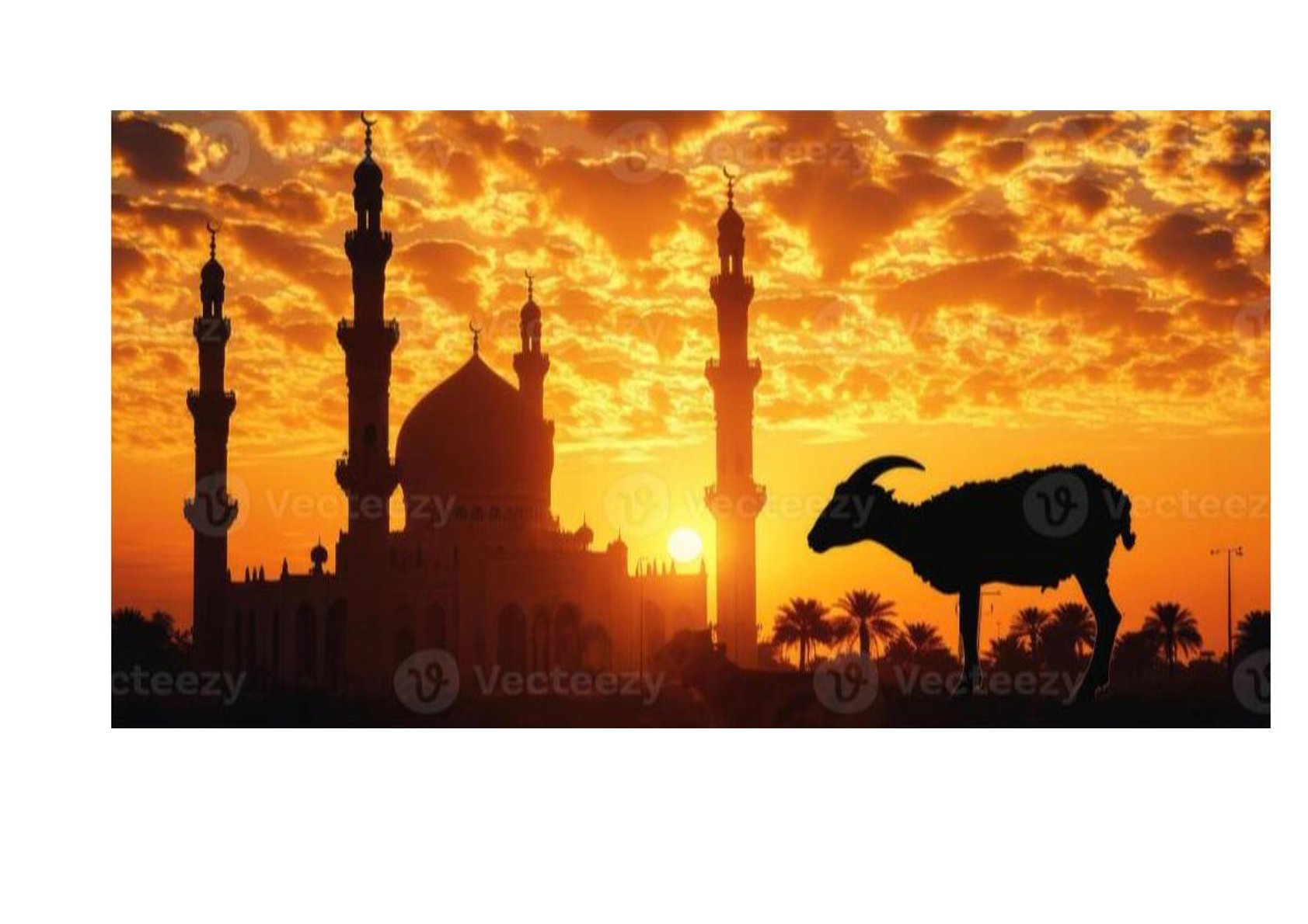 Arabic Studies